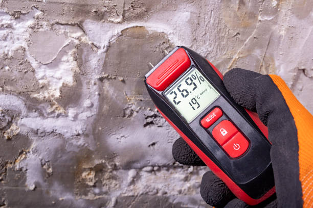 Best Mold Remediation Services  in Coyne Center, IL