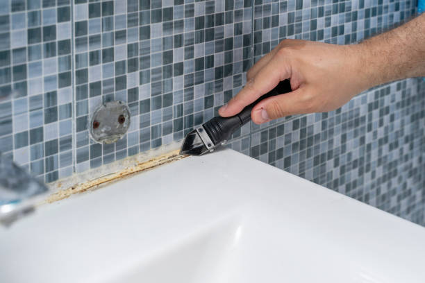 Best Black Mold Removal  in Coyne Center, IL