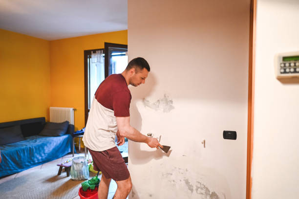 Best Water Damage Restoration  in Coyne Center, IL